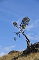 198_Ethiopia_North_Semien_NP