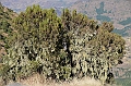 208_Ethiopia_North_Semien_NP