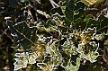 213_Ethiopia_North_Semien_NP