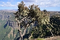 214_Ethiopia_North_Semien_NP