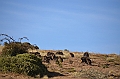 217_Ethiopia_North_Semien_NP