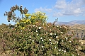 220_Ethiopia_North_Semien_NP