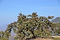 222_Ethiopia_North_Semien_NP