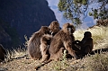 230_Ethiopia_North_Semien_NP