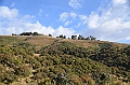 232_Ethiopia_North_Semien_NP