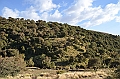 240_Ethiopia_North_Semien_NP