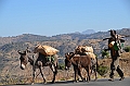 264_Ethiopia_North