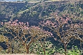 265_Ethiopia_North
