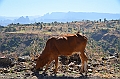 267_Ethiopia_North