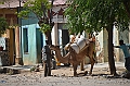 328_Ethiopia_North_Axum_Market