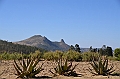 331_Ethiopia_North_Axum