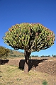 341_Ethiopia_North_Axum