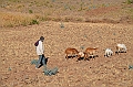 342_Ethiopia_North_Axum