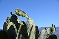 383_Ethiopia_North