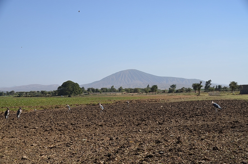517_Ethiopia_South.JPG