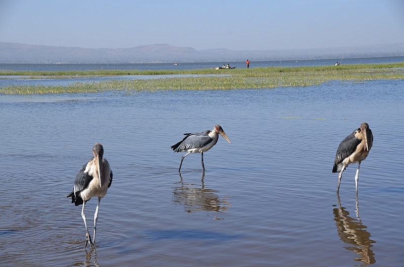 533_Ethiopia_South_Awassa_Fish_Market.JPG