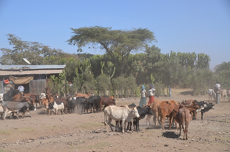 545_Ethiopia_South.JPG