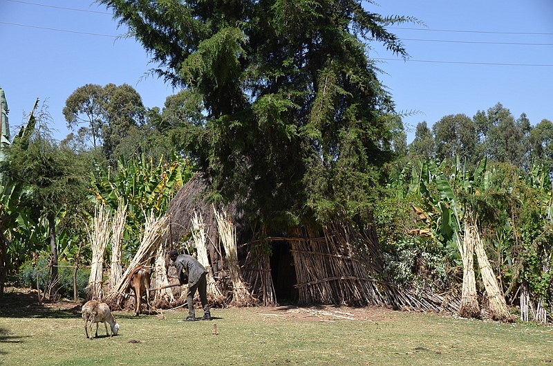 560_Ethiopia_South.JPG