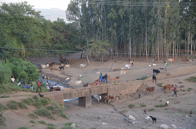 564_Ethiopia_South.JPG