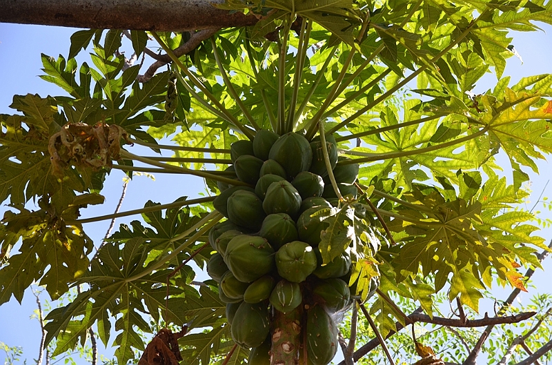 590_Ethiopia_South_Konso_Village.JPG