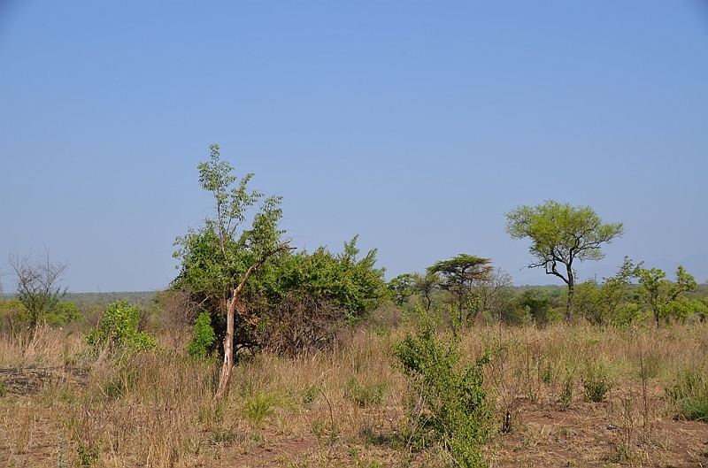 656_Ethiopia_South_Mursi_Village.JPG