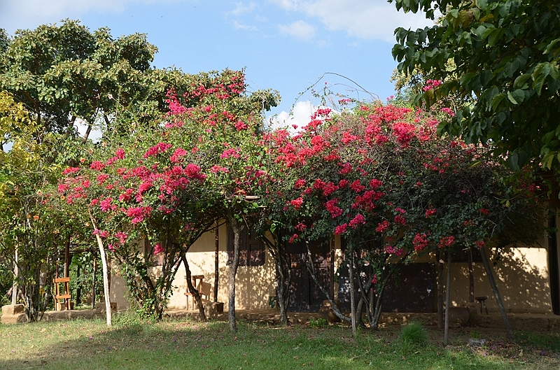 672_Ethiopia_South.JPG