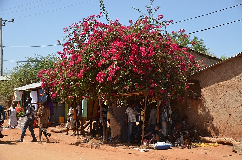 692_Ethiopia_South.JPG