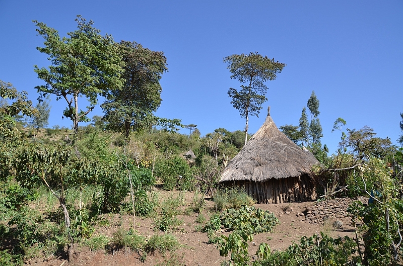 767_Ethiopia_South.JPG
