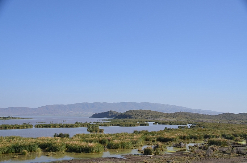 770_Ethiopia_South_Nechi_Sar_NP.JPG