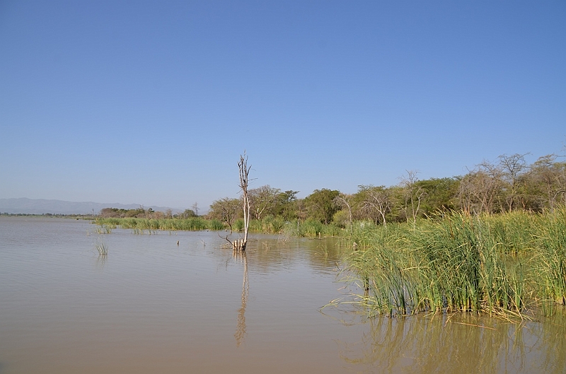783_Ethiopia_South_Nechi_Sar_NP.JPG