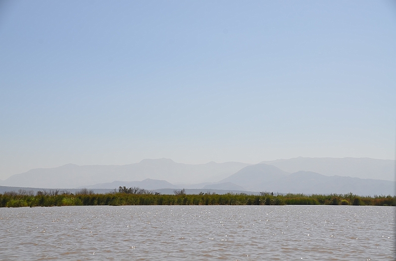 784_Ethiopia_South_Nechi_Sar_NP.JPG