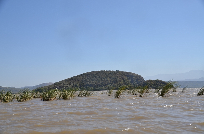 796_Ethiopia_South_Nechi_Sar_NP.JPG