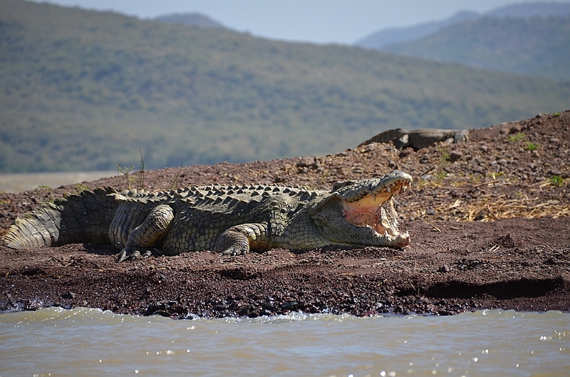 805_Ethiopia_South_Nechi_Sar_NP.JPG