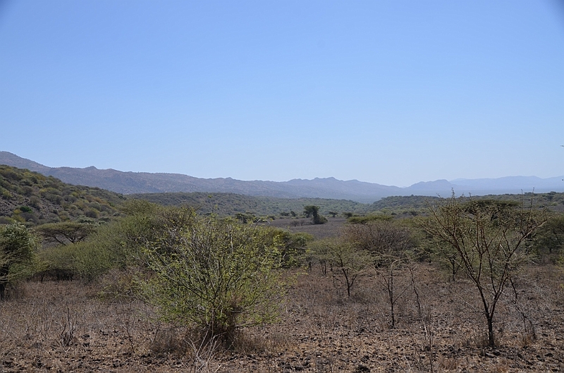 809_Ethiopia_South_Nechi_Sar_NP.JPG
