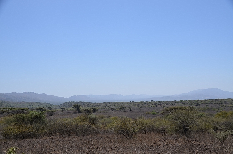810_Ethiopia_South_Nechi_Sar_NP.JPG
