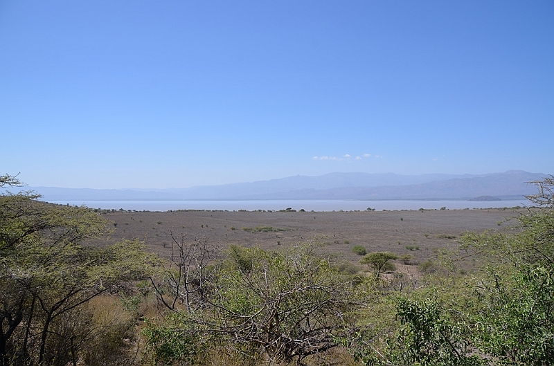 823_Ethiopia_South_Nechi_Sar_NP.JPG