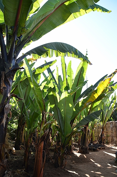 844_Ethiopia_South_Dorze_Village.JPG
