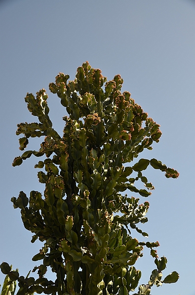 854_Ethiopia_South_Dorze_Village.JPG