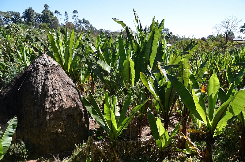 856_Ethiopia_South_Dorze_Village.JPG