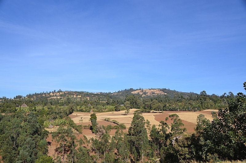 866_Ethiopia_South.JPG