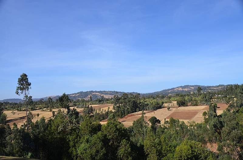 867_Ethiopia_South.JPG