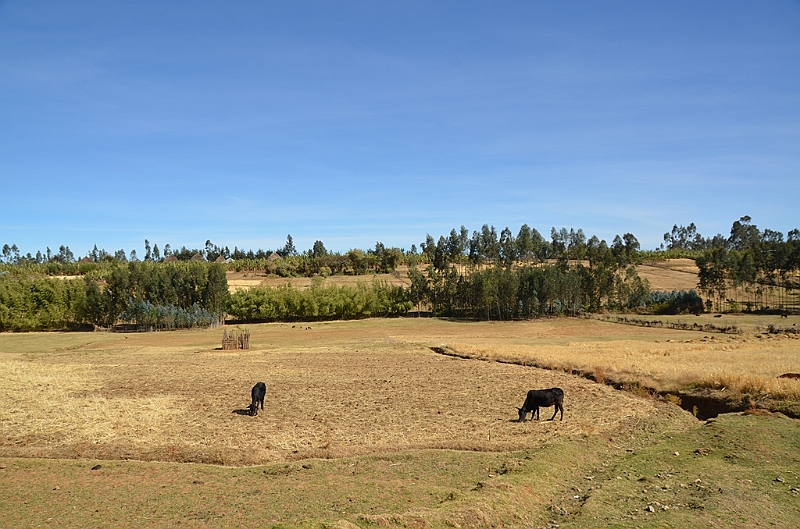 872_Ethiopia_South.JPG