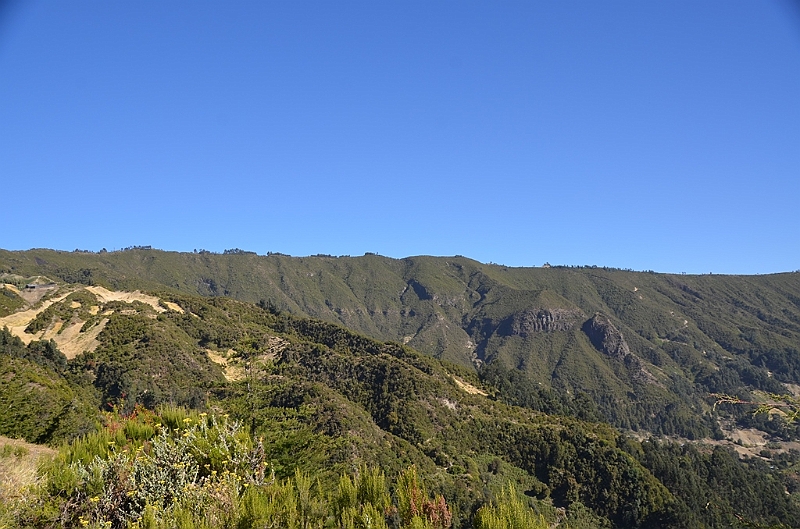 887_Ethiopia_South_Mount_Wenchi.JPG