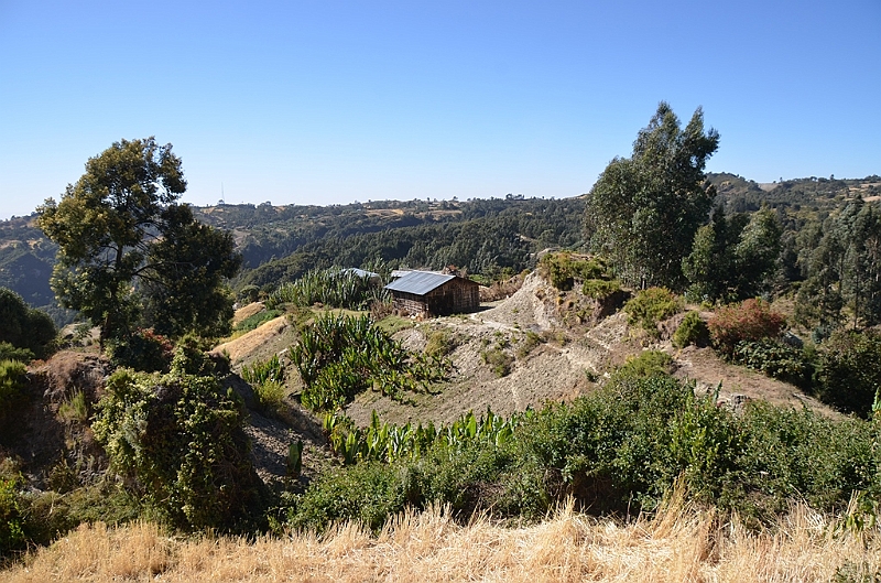 891_Ethiopia_South_Mount_Wenchi.JPG