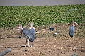512_Ethiopia_South