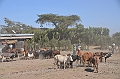 545_Ethiopia_South