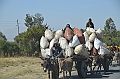 553_Ethiopia_South