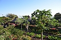 572_Ethiopia_South