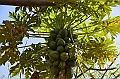 590_Ethiopia_South_Konso_Village