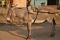 626_Ethiopia_South_Jinka_Market